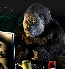 author-gorilla